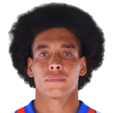Axel Witsel