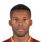 Georginio Wijnaldum