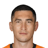 Taras Stepanenko