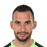 Cristian Nedelcovici
