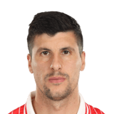 Stipe Perica