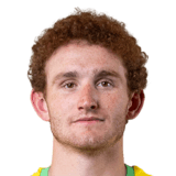 Josh Sargent