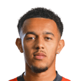 Dion Pereira