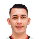 Luis Demiquel