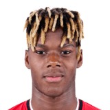 Nico Williams