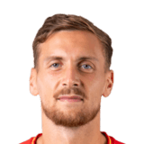Milan Robin