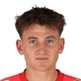 Nikolas Polster