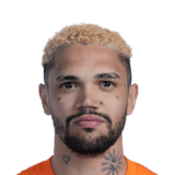 Pedro Henrique