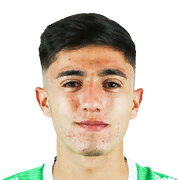Nicolás Aedo