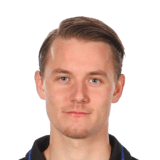 Noel Milleskog