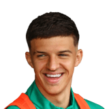 Tarik Muharemović