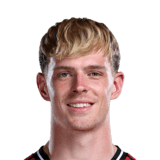 Toby Collyer