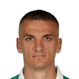 Nenad Cvetković