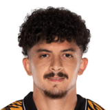 Mohamed Belloumi