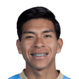 Ervin Vaca