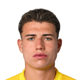 Diego Mina