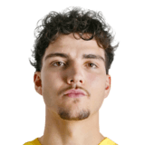 Tiago Pereira Cardoso