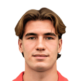 Nicolò Radaelli