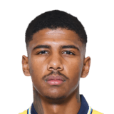 Vitor Meer