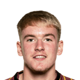 Harry Ibbitson