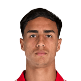 Vitor Reis