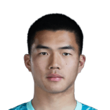 Wang Hanyi