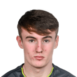 Alex Noonan