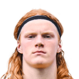 Elvis van der Laan