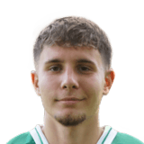 Altin Ibisi