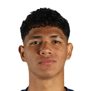 Dilan Villarreal